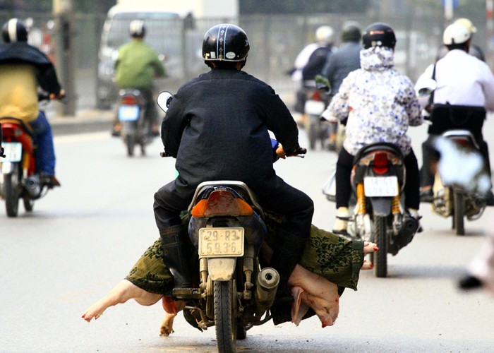 Tuy nhiên, đến nay các lái buôn vẫn hiên ngang trở lợn "trần" đến các chợ khắp thủ đô Hà Nội.